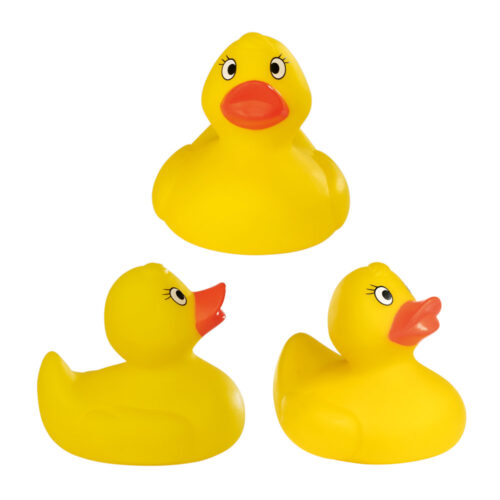 98077 Duck